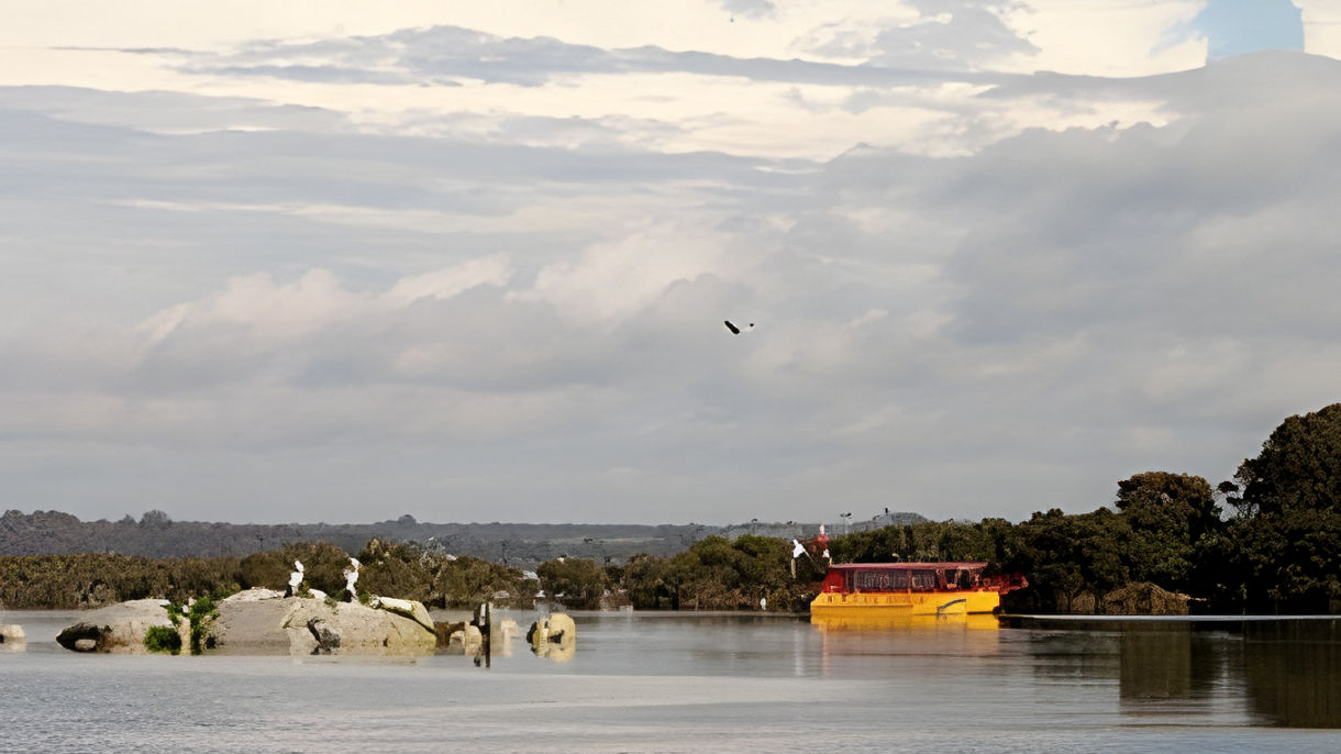 Oyster Harbour & Kalgan River Cruise