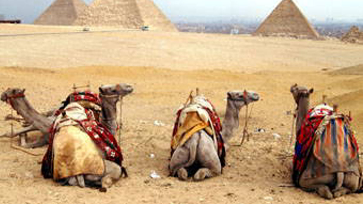 Giza Pyramids, the Sphinx & Nile Lunch Cruise
