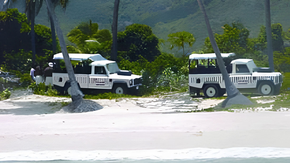 Fig Tree Drive & Turner's Beach