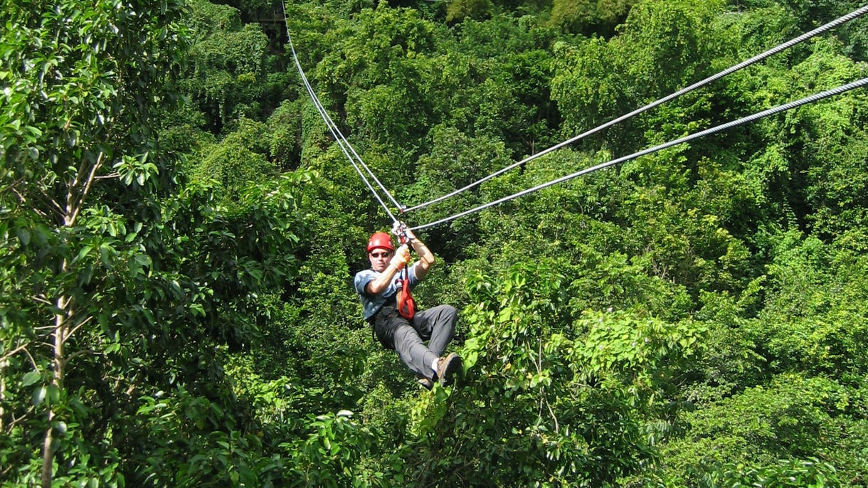 Rainforest Canopy Zipline Adventure