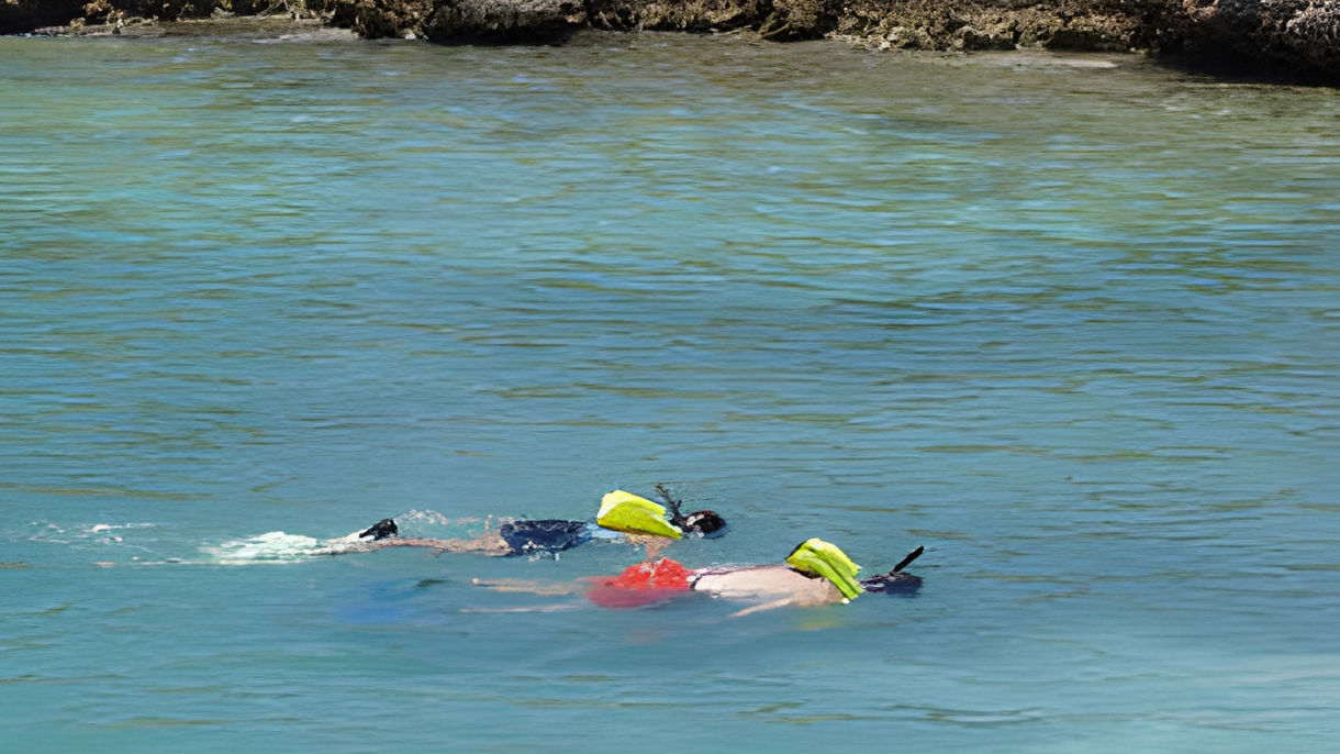 Scenic Coastal Cruise, Snorkel, Beach & Lunch