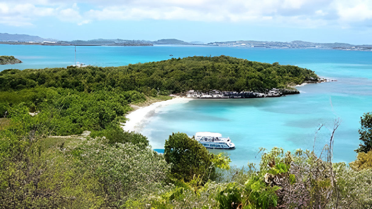 Scenic Coastal Cruise, Beach & Lunch