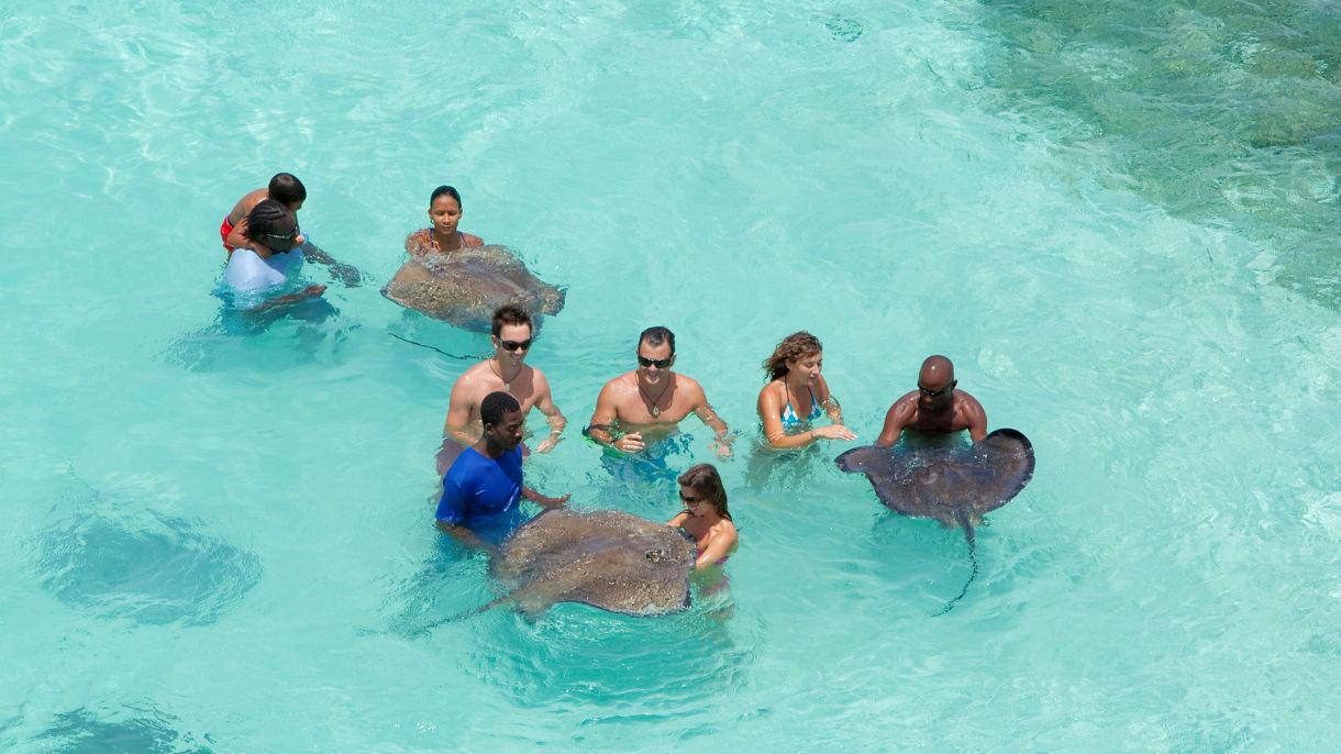 Stingray, Snorkel, Swim & Scenic Country Drive
