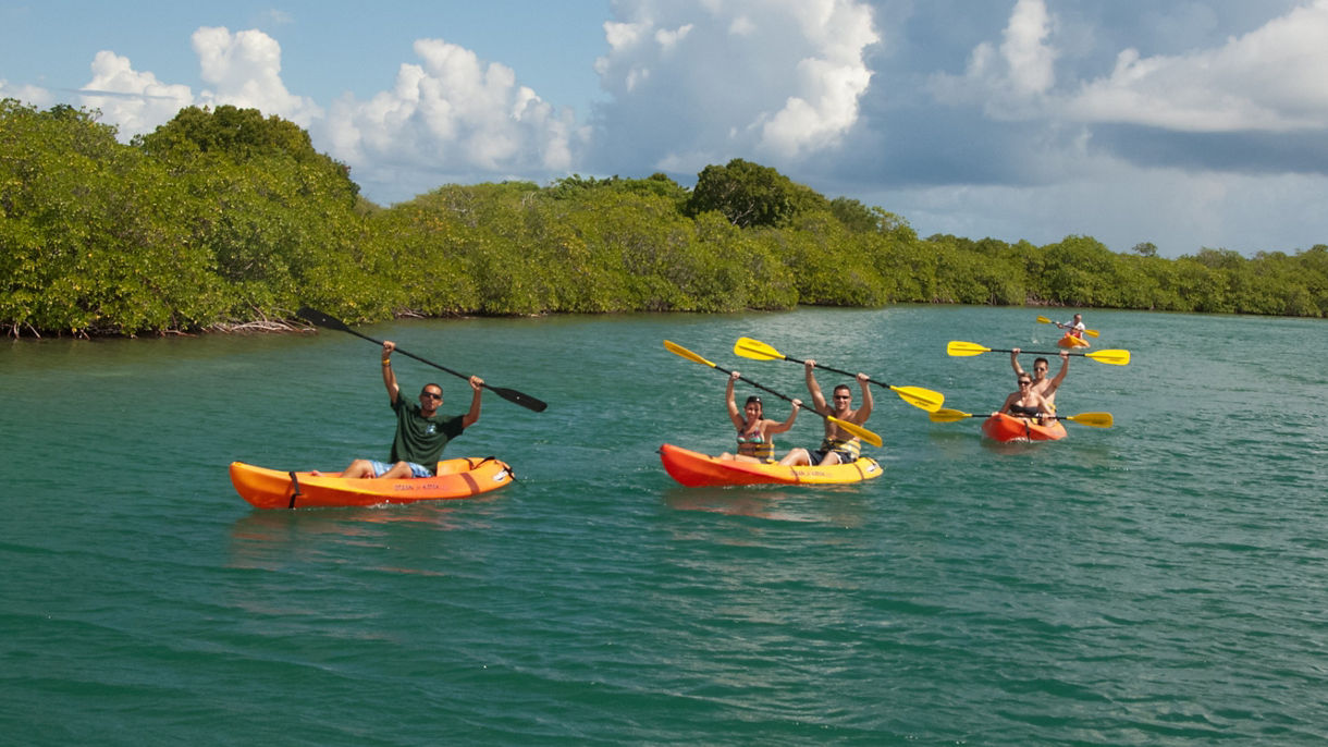 Local Connections: Eco-Kayaking, Bird Island, Snorkel & Beach