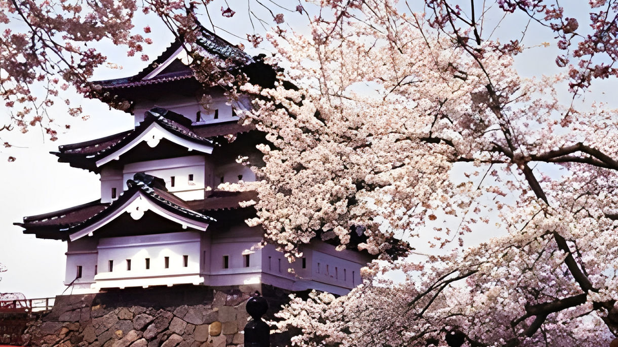 弘前公園と津軽藩ねぷた村(日本語ガイド)(Guided in Japanese)