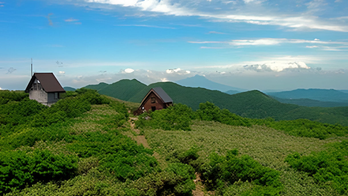 Local Connections: Walking in Shirakami Mountains