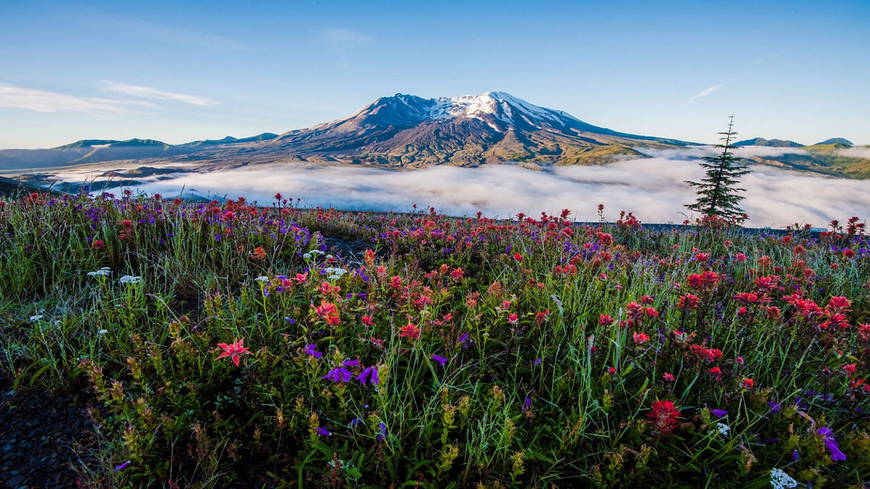 Mount St. Helens