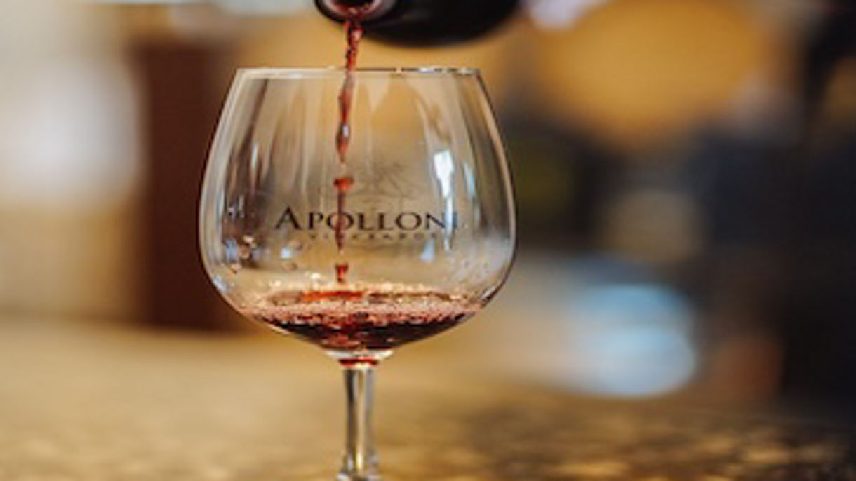 Willamette Valley Wine Country & Tasting