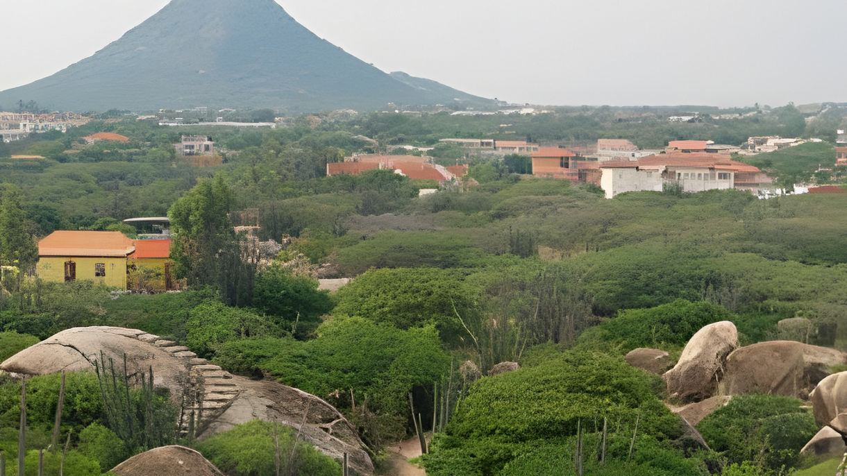 Best of Aruba: Island Highlights & Beach