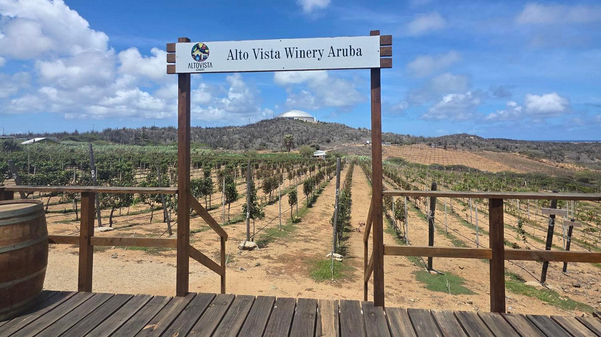 Alto Vista Winery & Rum Distillery Experience