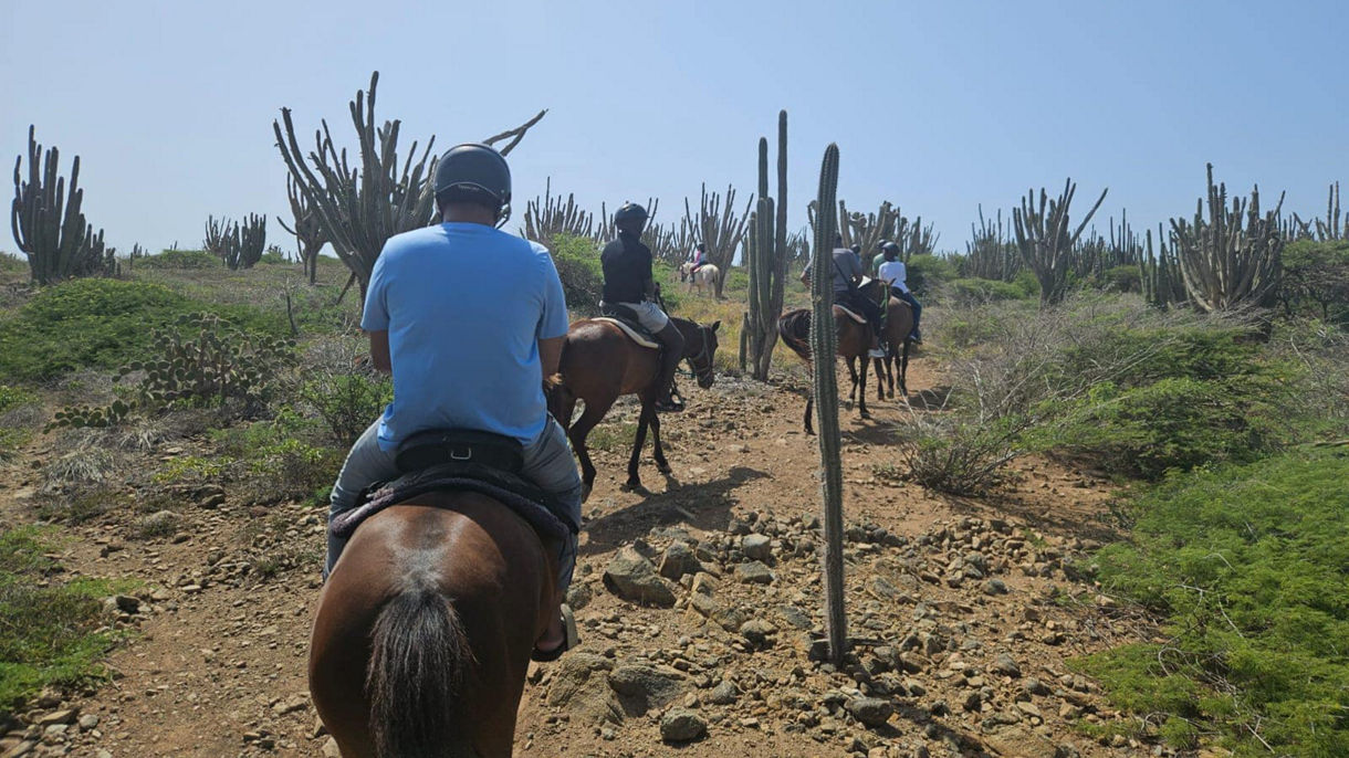 Trail & Beach Horseback Riding