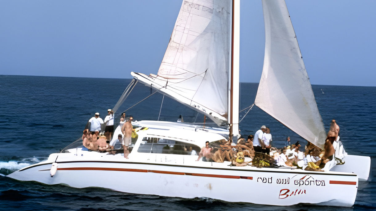 Snorkeling Cruise & Antilla Shipwreck