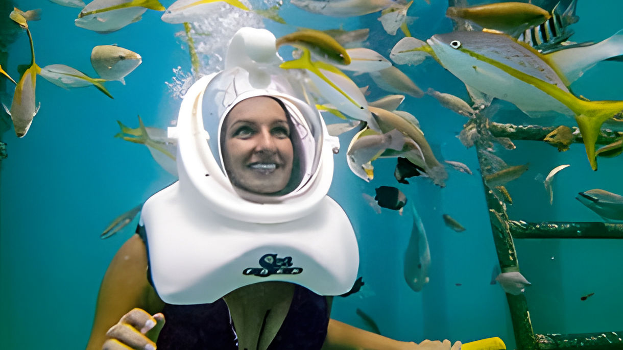 Helmet Dive, De Palm Island Beach & Meal
