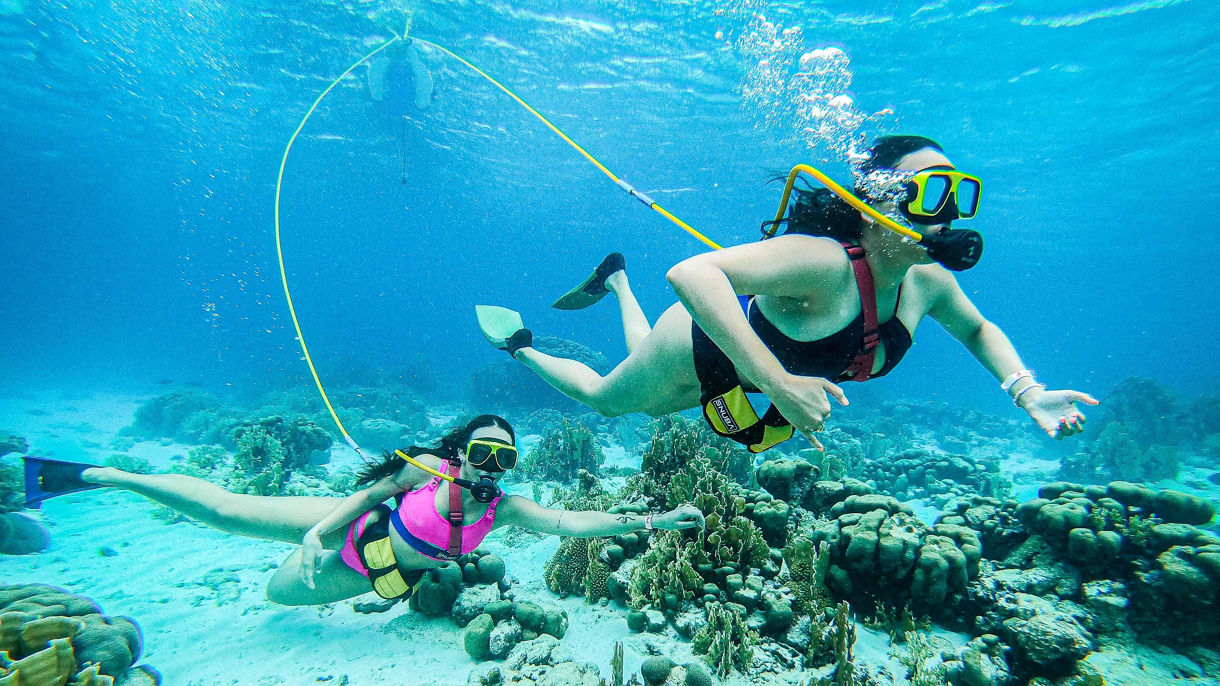 Snuba & All-Inclusive De Palm Island