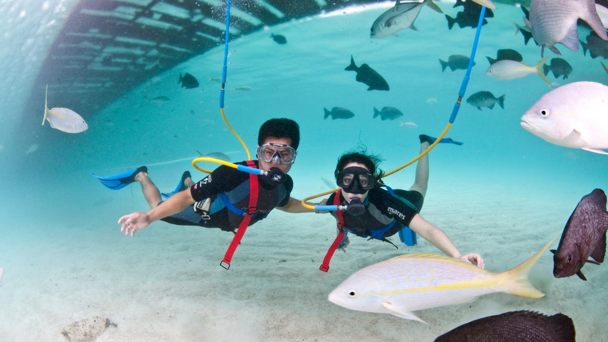 Snuba & All-Inclusive De Palm Island