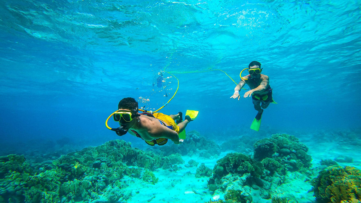 Snuba & All-Inclusive De Palm Island
