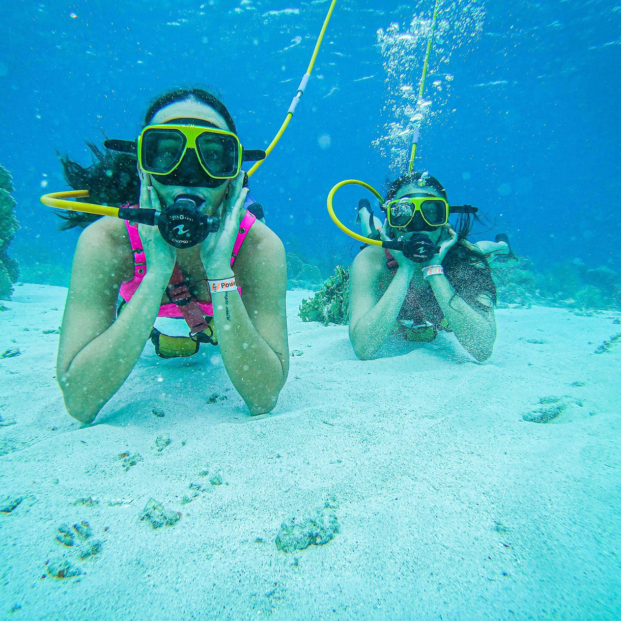 Snuba & All-Inclusive De Palm Island