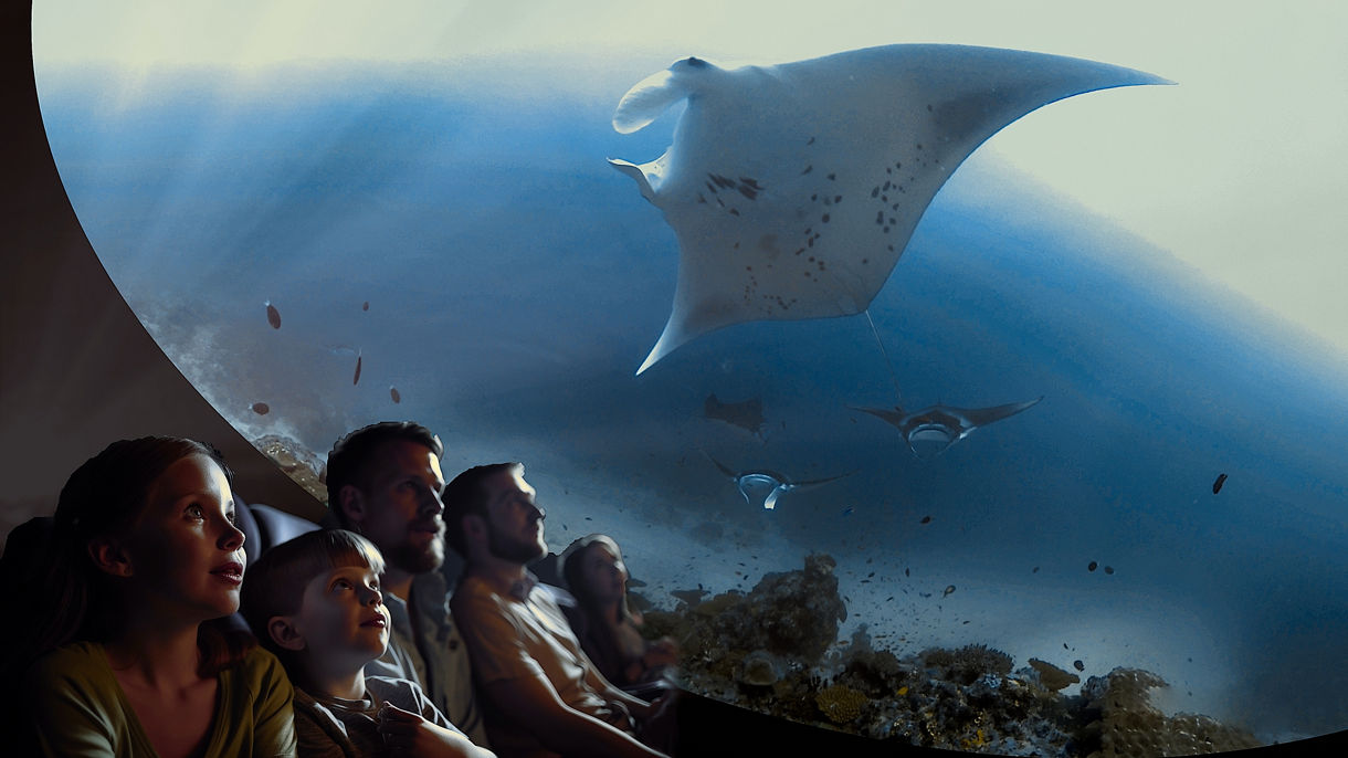 Ocean Wonders Immersive Experience on Your Own