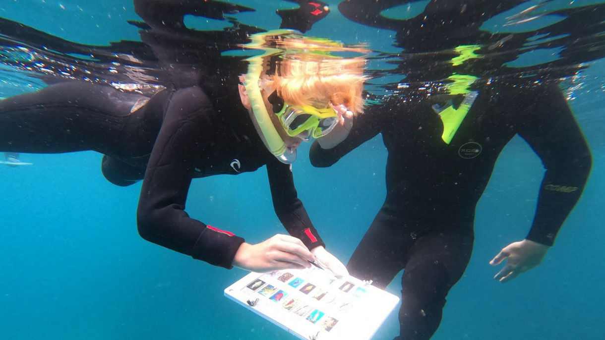 Science Snorkel Adventure