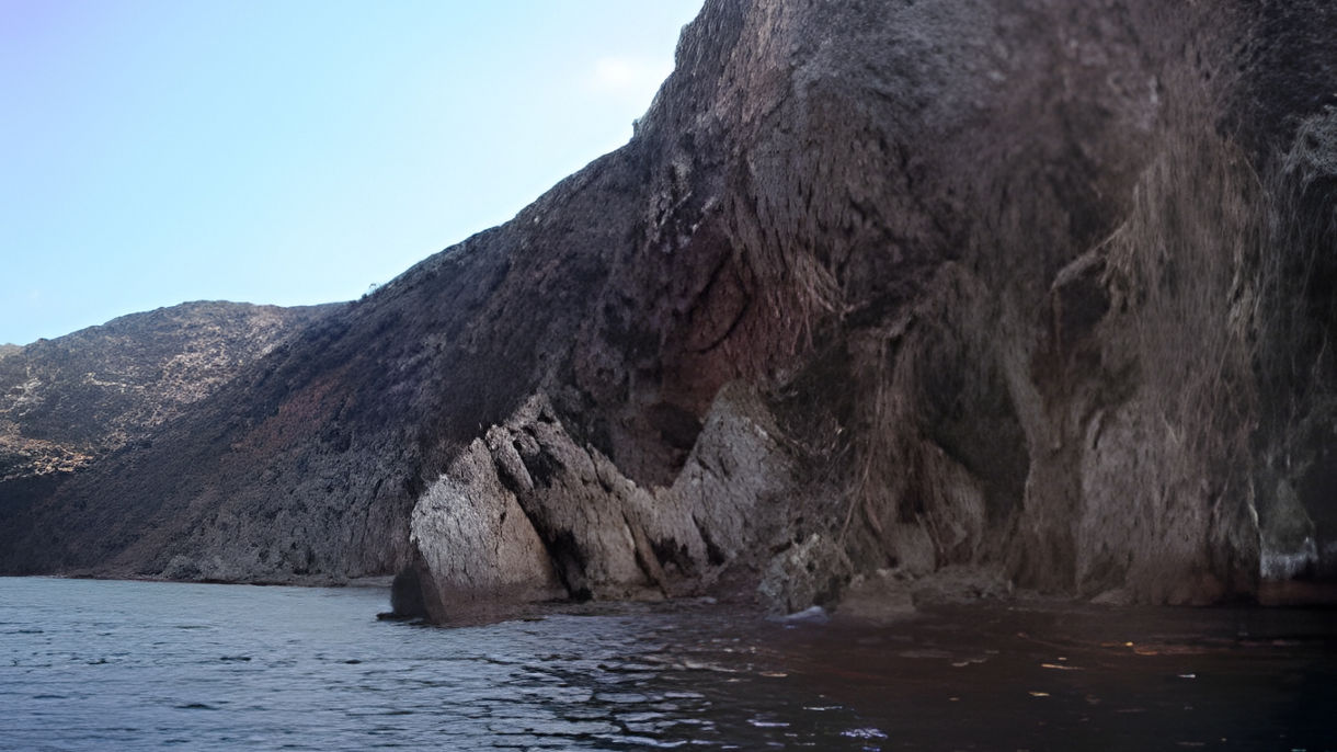 Wildlife & Coastal Cruise