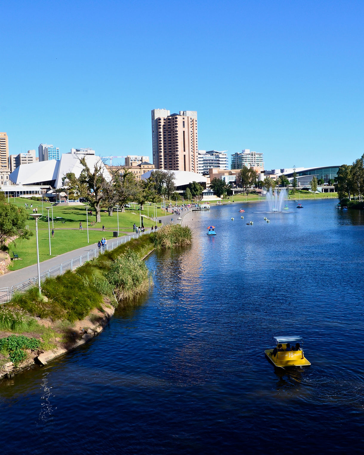 Yellow paddleboat on the River Torrens with Adelaide city buildings, fountains and riverside park in the background.