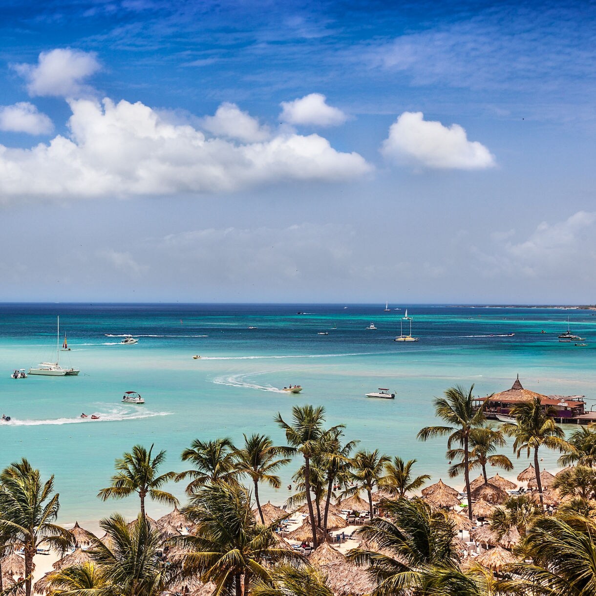 Aerial top down view of an Aruban beach with turquoise water washing onto white sand and rows of thatched umbrellas and palm trees along the shore.