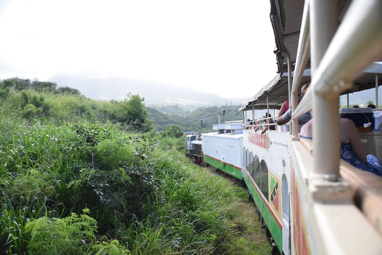 Scenic railway ride & coastal cruise