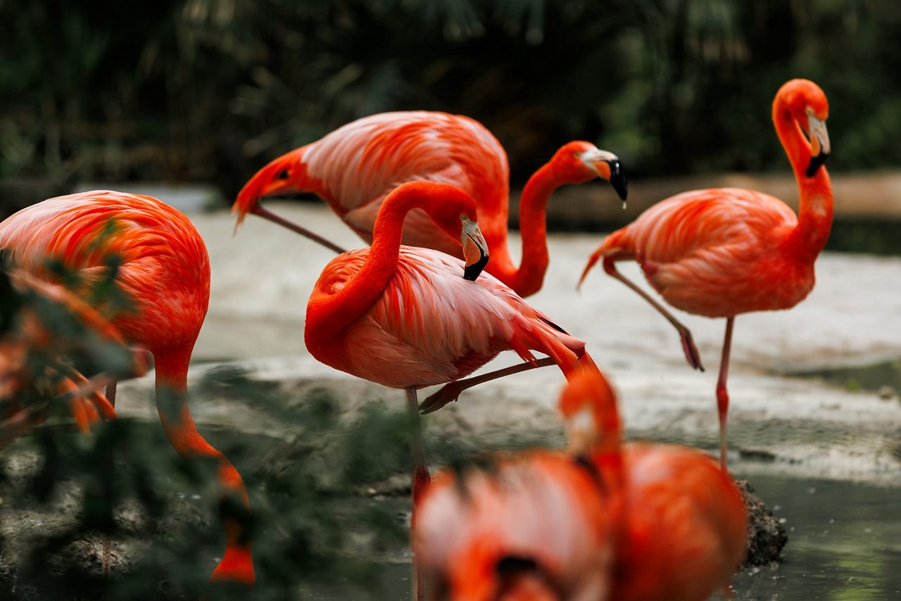 Local Connections: Wildlife sanctuary, kayak, hike & snorkel with Marine Biologist