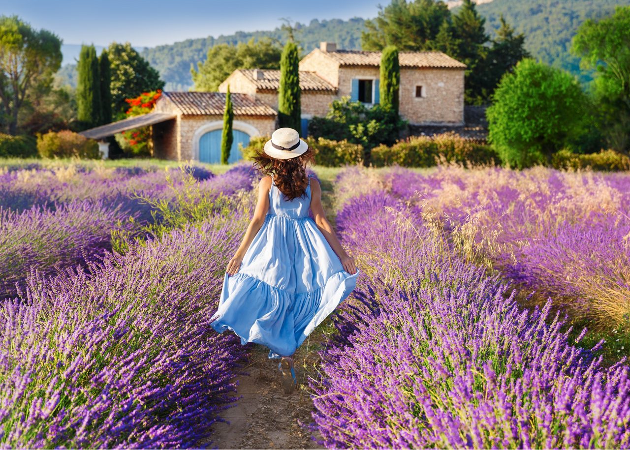 Woman in a blue dress and straw hat walks through rows of blooming lavender toward a stone farmhouse with blue shutters.