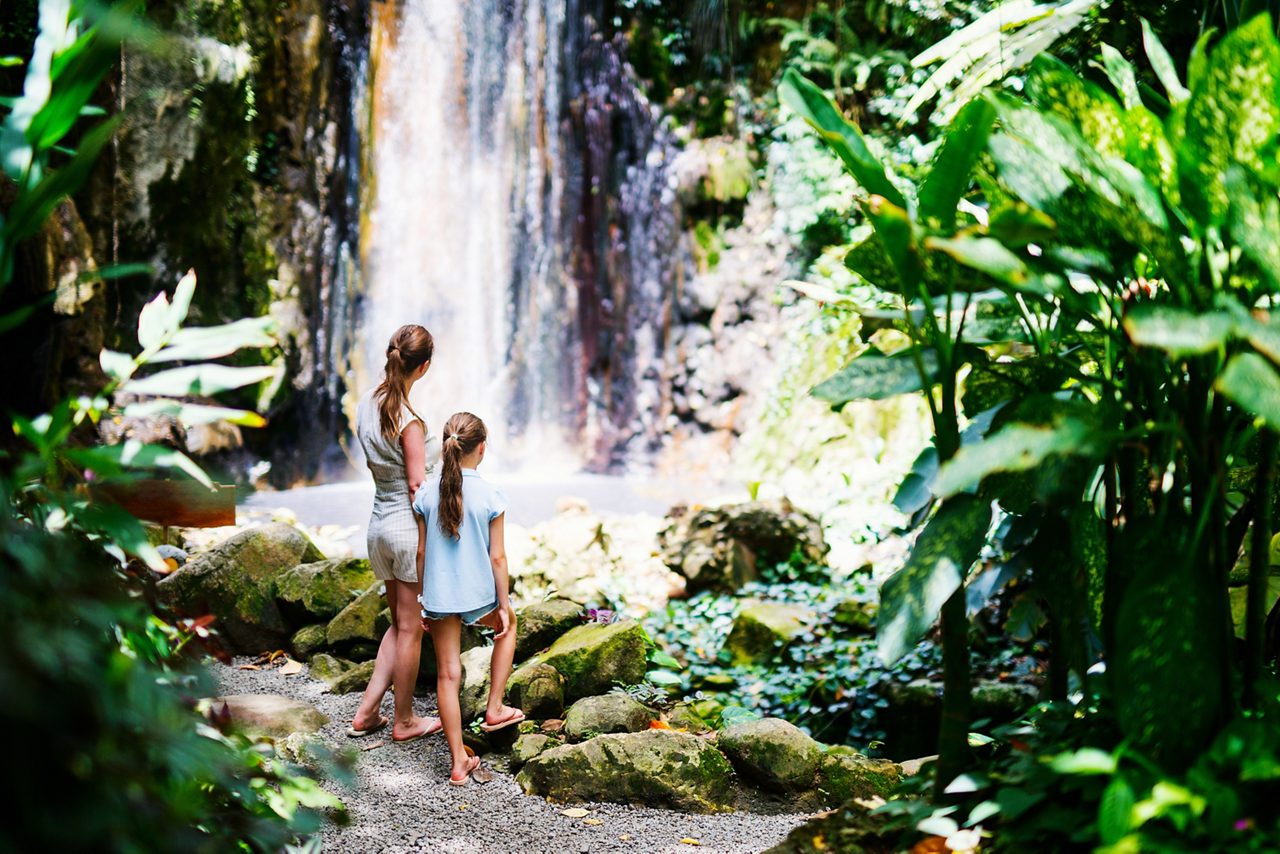 4X4 safari scenic drive & waterfall adventure