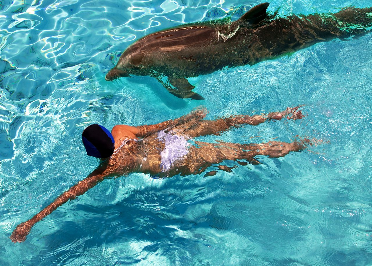 Dolphin swim & Blue Lagoon Beach fun with lunch