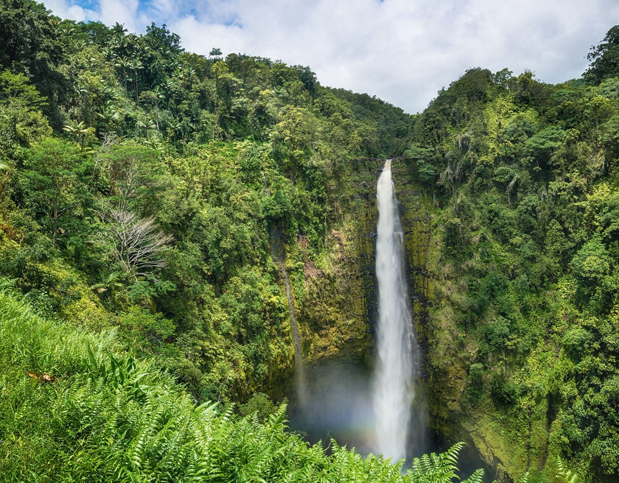 A tall waterfall streaming into a circular pool surrounded by mossy cliffs and dense tropical forest, with a faint rainbow at the base.