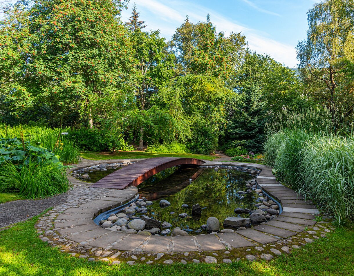 Akureyri Botanical Garden in Iceland, featuring a small arched wooden bridge over a pond, surrounded by stone pathways, green plants and tall trees on a sunny day.