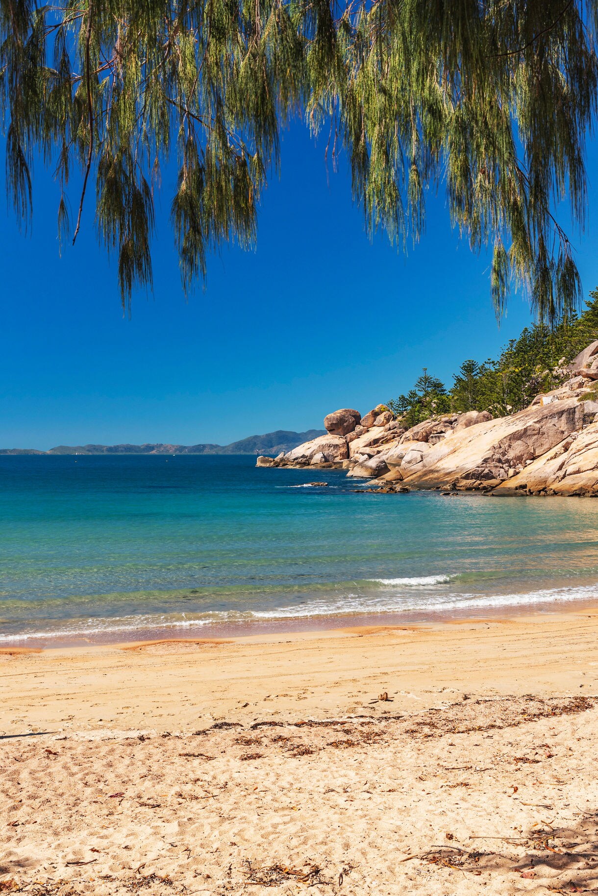 Quiet tropical beach with clear turquoise water, pale sand and smooth granite boulders along the shoreline, seen under hanging tree branches.