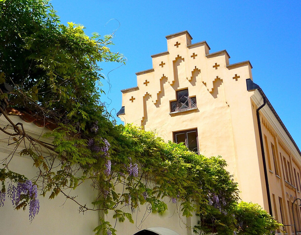 Yellow stepped-gable building in Visby, Gotland, Sweden, with wisteria vines hanging over a white wall under a clear blue sky.