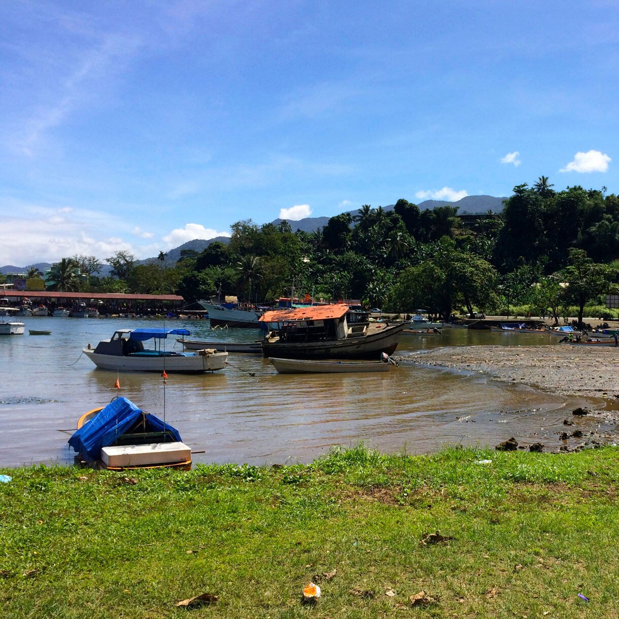 Small harbor scene with several moored boats resting in shallow water, a pebbled shoreline, clusters of people gathered under trees and dense green hills rising in the background beneath a bright sky.