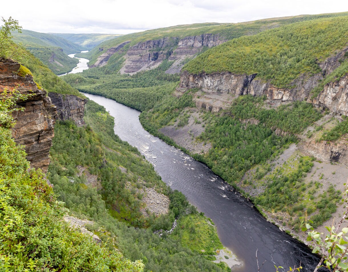 A winding river cutting through steep rock cliffs and dense green forest in Alta Canyon.