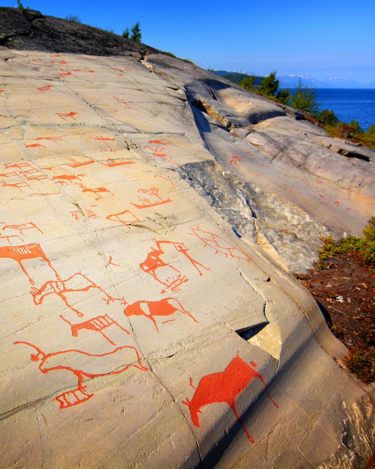 Prehistoric petroglyphs painted in red on rock surfaces near the sea in Alta, Norway.