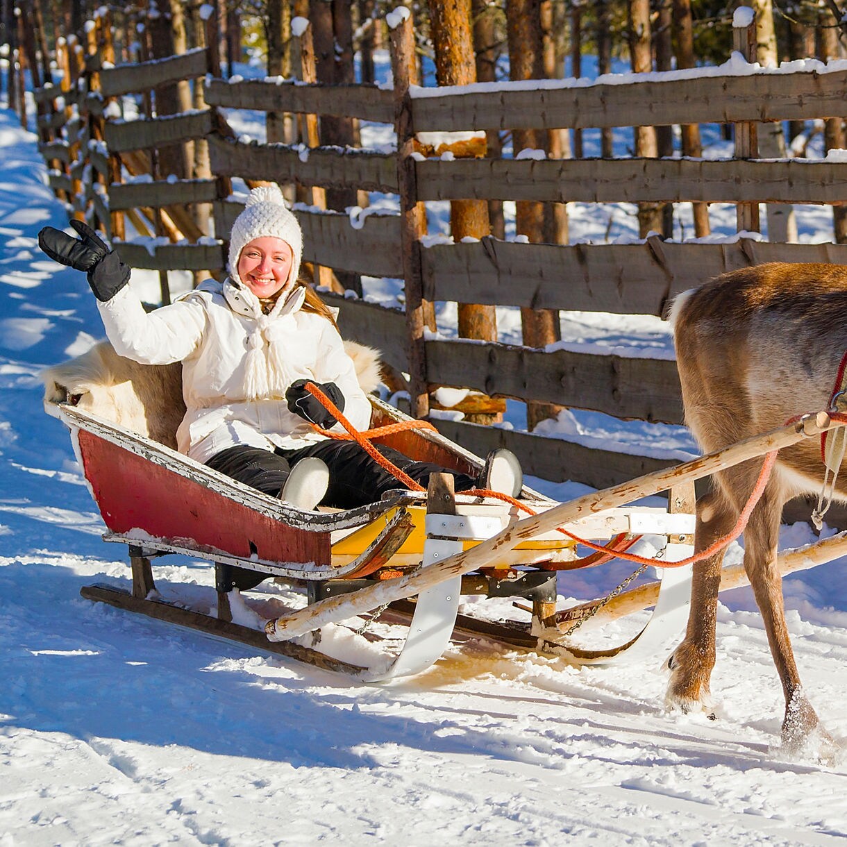 Smiling person in winter clothes riding a sleigh pulled by a reindeer along a snowy path.