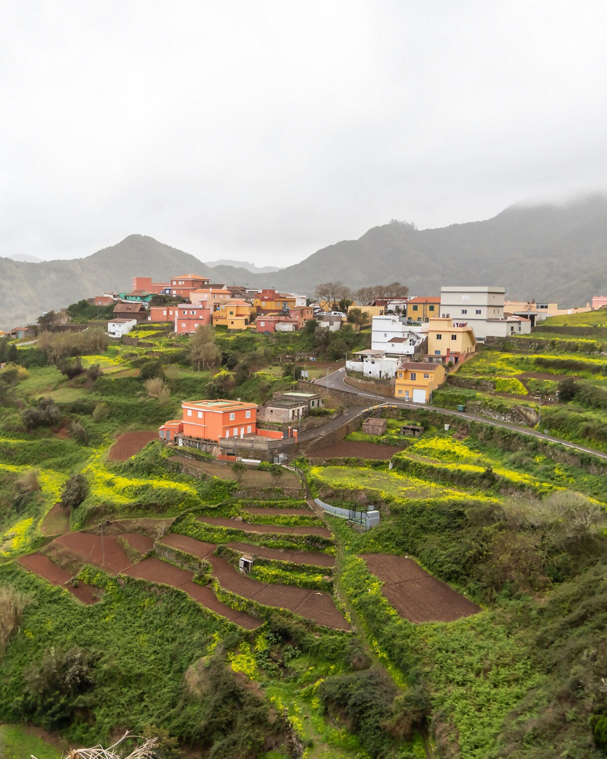 Terraced farmland and colorful houses on the green hillsides of Anaga Rural Park in Tenerife, with misty mountains in the background.