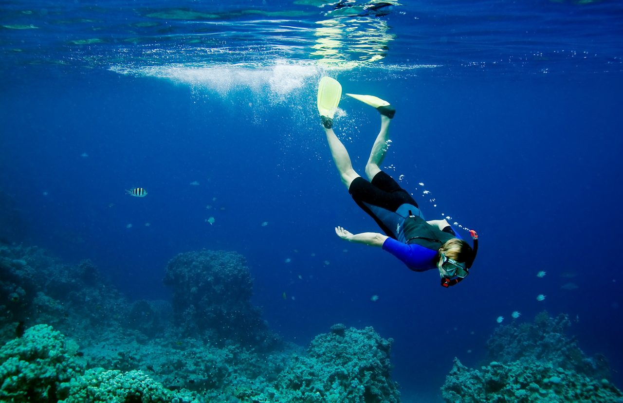 Snorkeler with fins diving headfirst toward a coral reef in deep blue water with small fish swimming nearby.