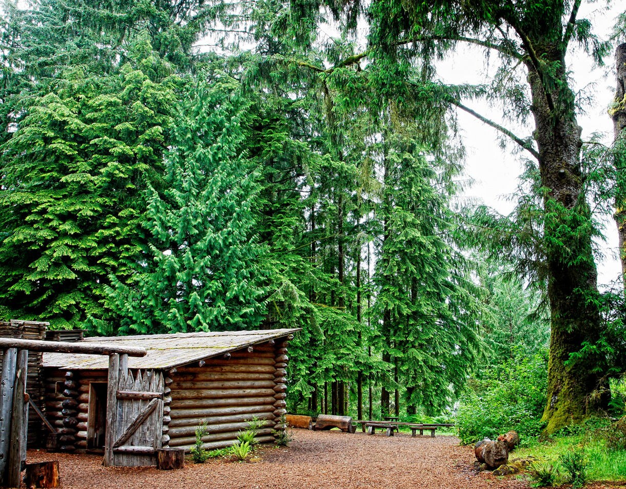 Scene of the wooded area around Fort Clatsop featuring dense evergreen trees, a log cabin structure, wooden benches and lush forest floor vegetation.