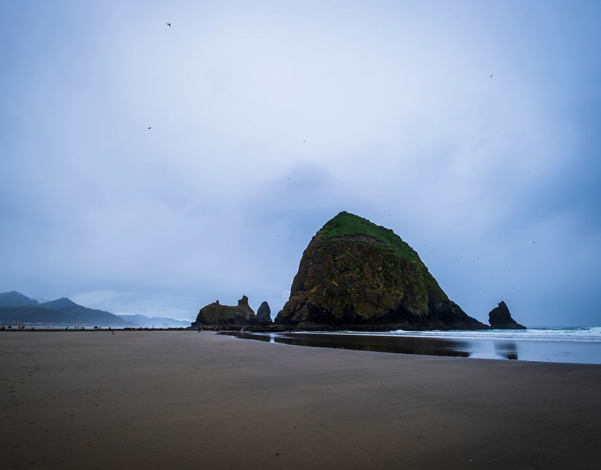 Wide beach view of Haystack Rock at low tide with its mossy peak, smaller sea stacks nearby and gentle waves rolling in under an overcast sky.