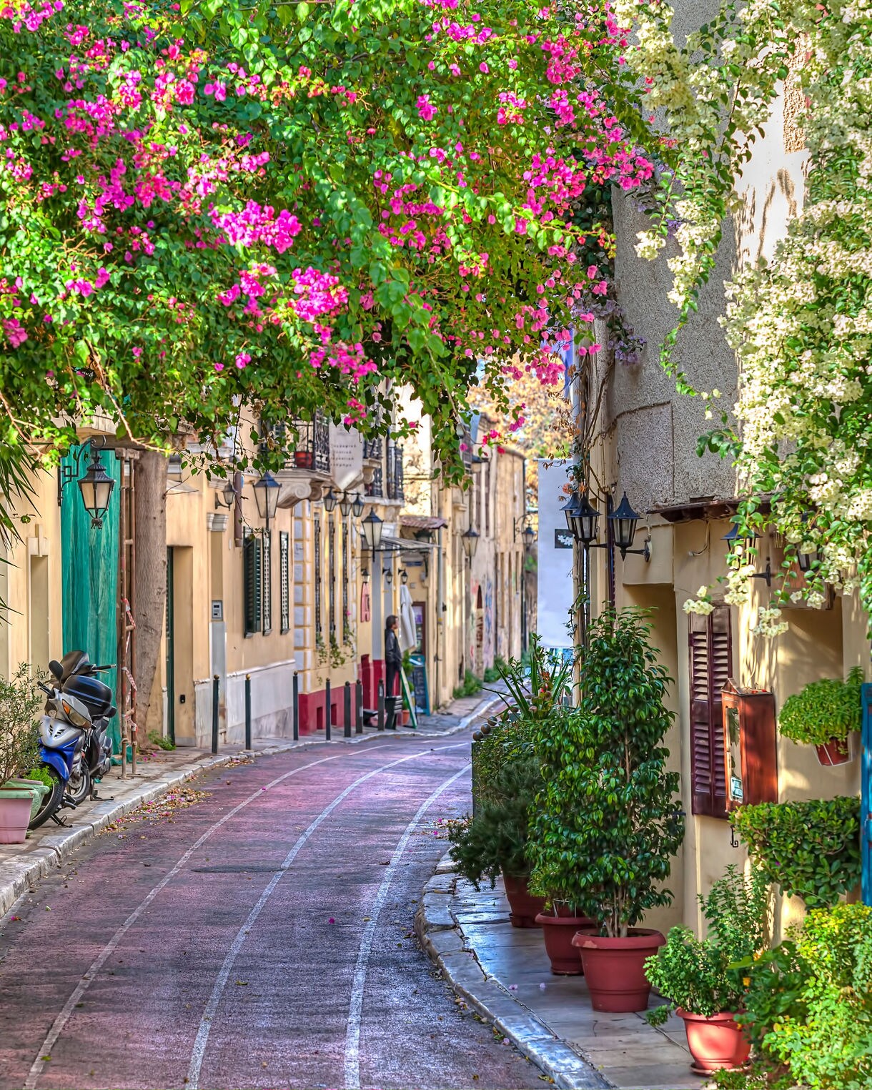 A narrow street in Athens’ Plaka neighborhood lined with outdoor café tables, potted plants and buildings covered in vibrant pink and white flowers.