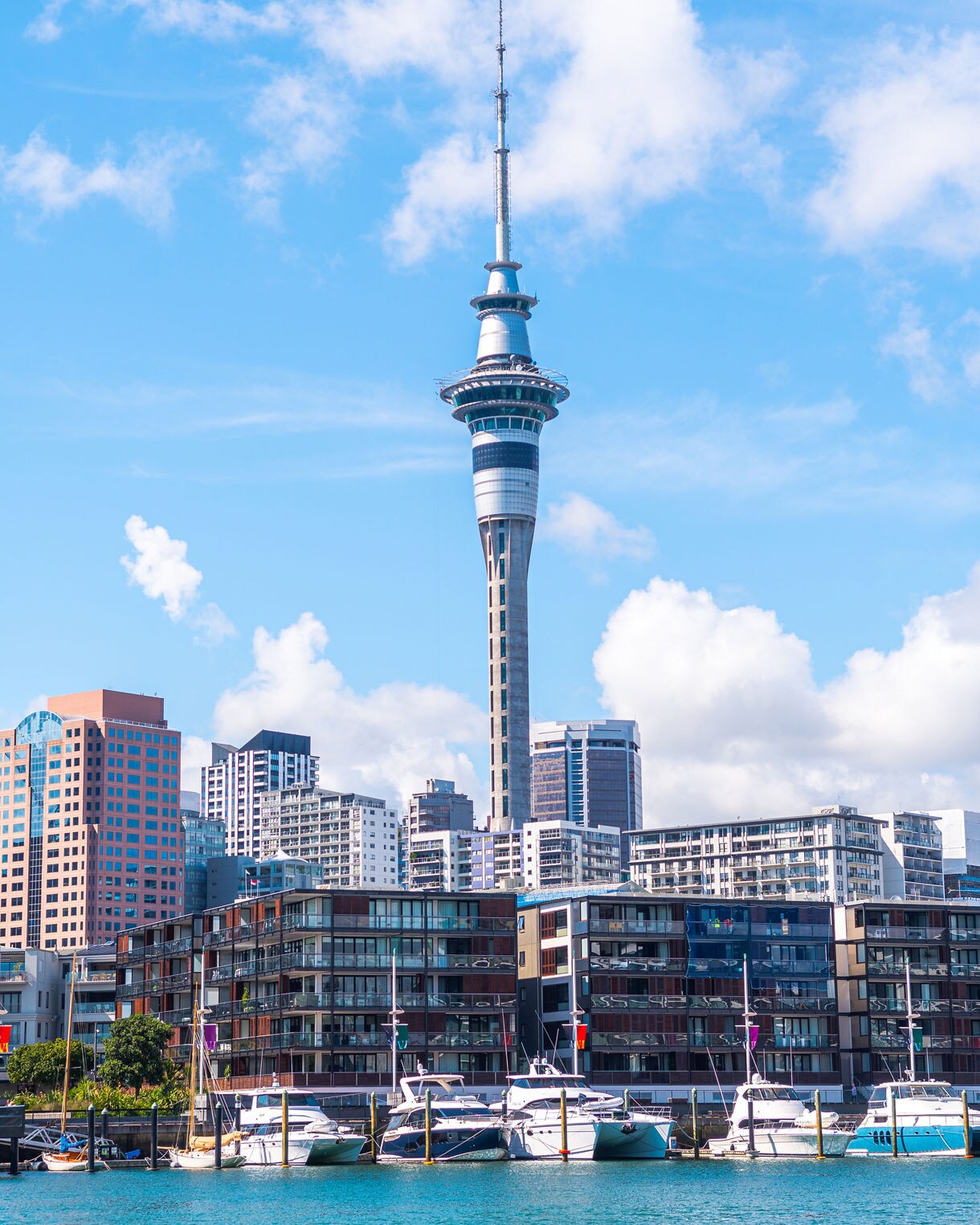 Auckland harbor with yachts docked in front of modern buildings and the Sky Tower standing tall against a bright blue sky.