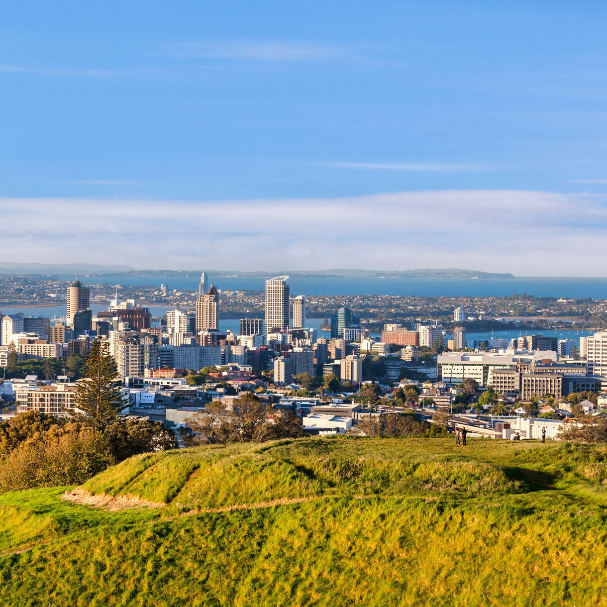 View of Auckland city skyline from Mount Eden, showing the Sky Tower, modern high-rises and the harbor in the distance.