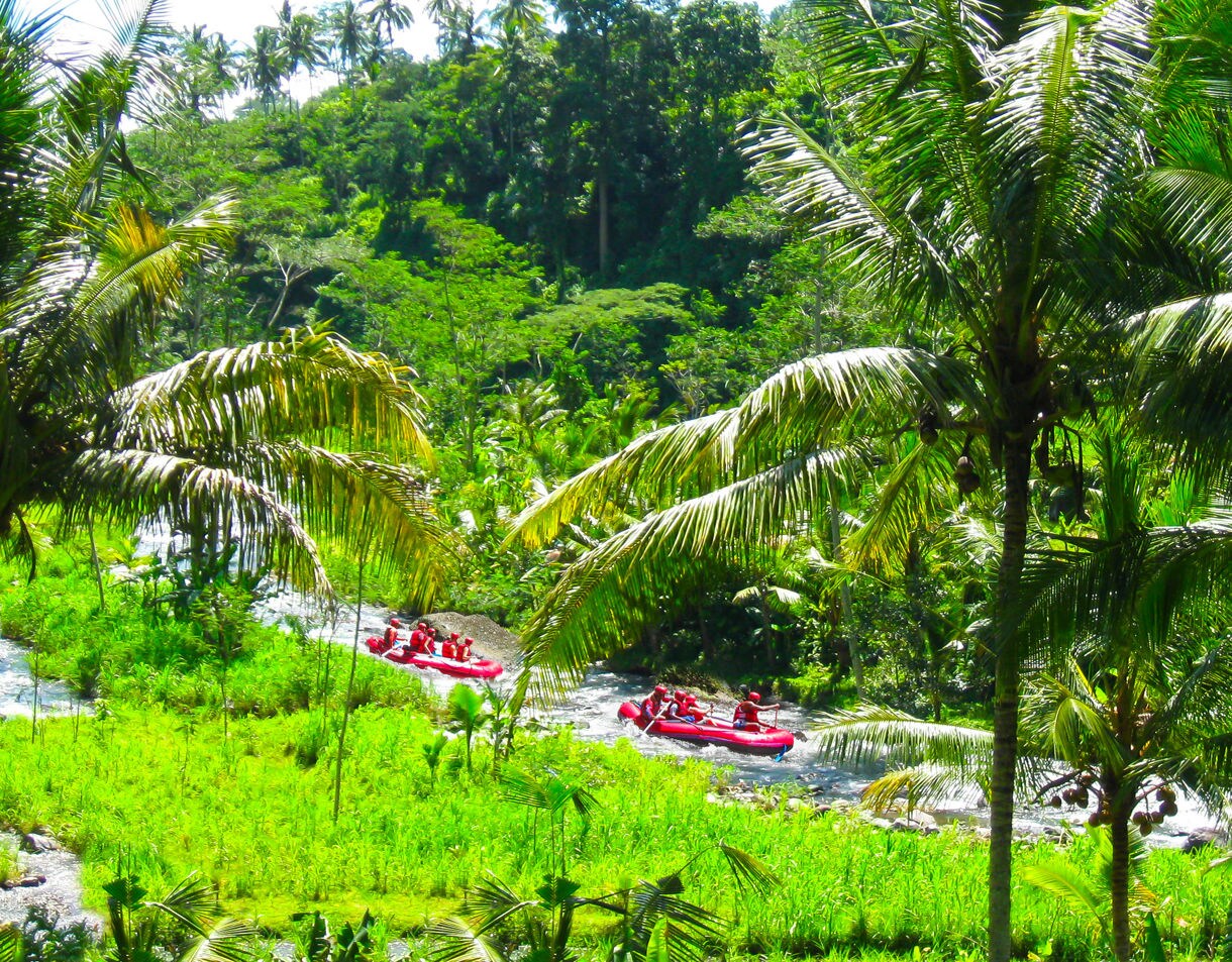 A group of rafters paddling down a narrow tropical river in bright red inflatable boats, surrounded by dense greenery, tall coconut palms and sunlight filtering through lush foliage.