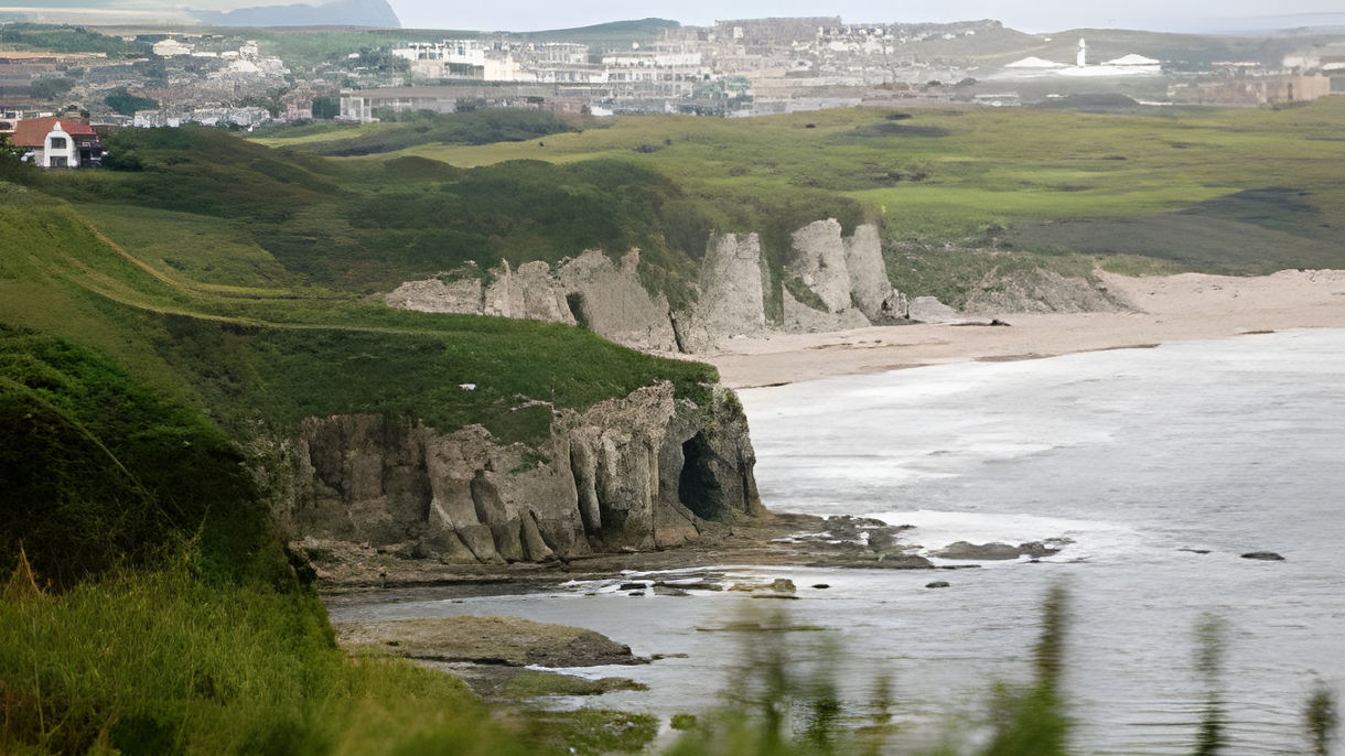 Coastal Drive & Glens of Antrim (Wheelchair Accessible)