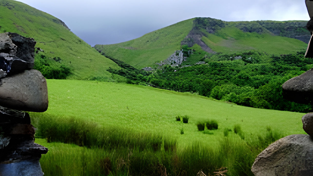 Coastal Drive & Glens of Antrim (Wheelchair Accessible)