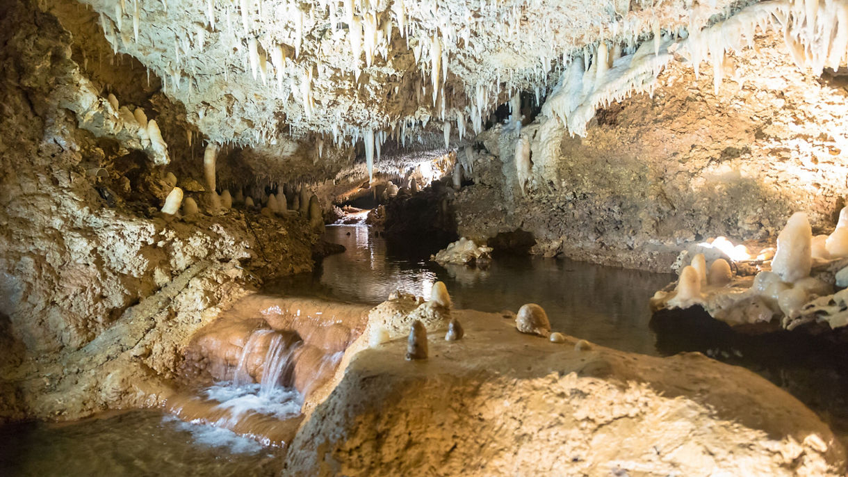Harrison's Cave Signature Park Pass